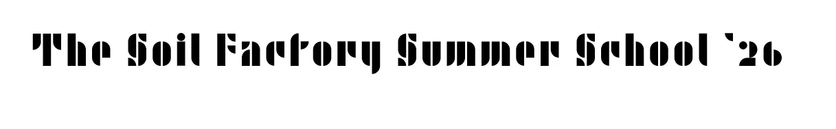 image2.webp
