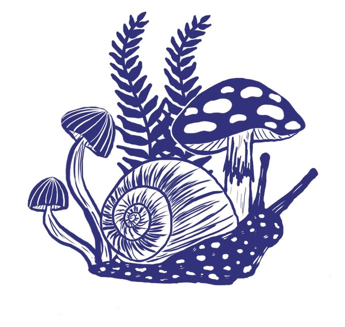 fig1